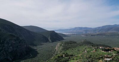 Delphi: Easy Hike on Ancient Path through the Olive Groves - Olive groves and the Delphian Valley