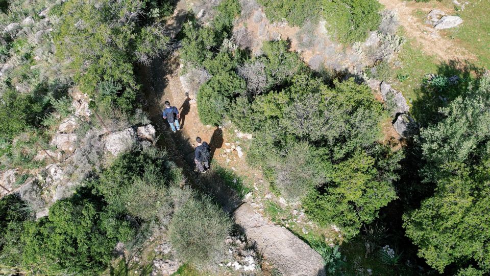 Delphi: Easy Hike on Ancient Path through the Olive Groves - How hard is the downhill walk?