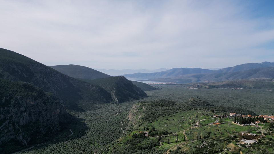 Delphi: Easy Hike on Ancient Path through the Olive Groves - Who will enjoy this most?