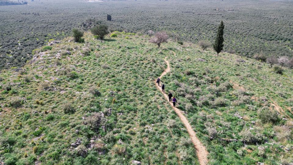 Delphi: Easy Hike on Ancient Path through the Olive Groves - A practical packing list