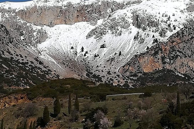 Delphi Full Day Private Tour: Temple of Apollo, Museum, Navel of Earth & Oracle - The Navel of the Earth and Delphi’s central myth