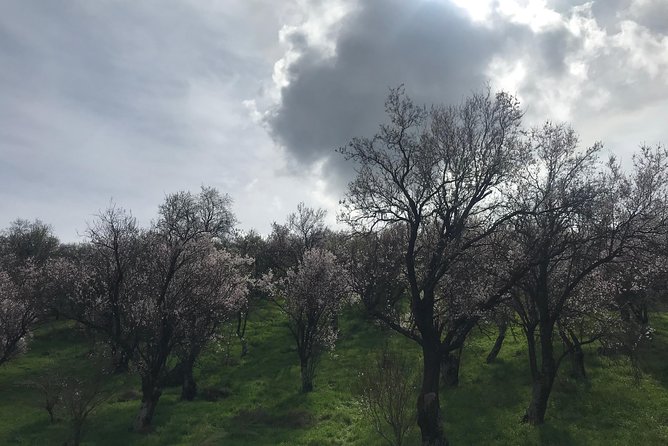 Delphi Private Full-day trip from Athens - Arachova, a different side of the day