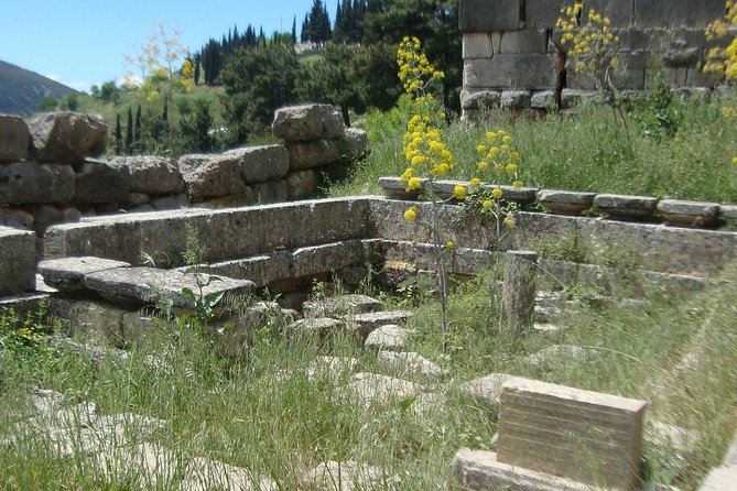 Delphi Self-guided Audio Tour on Your Phone (no ticket) - How the self-guided format changes the visit