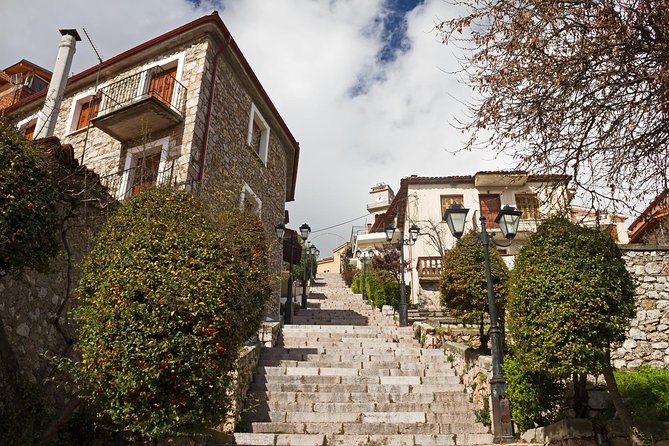 Delphi Tour (Full Day) - What the $806.76 price really buys