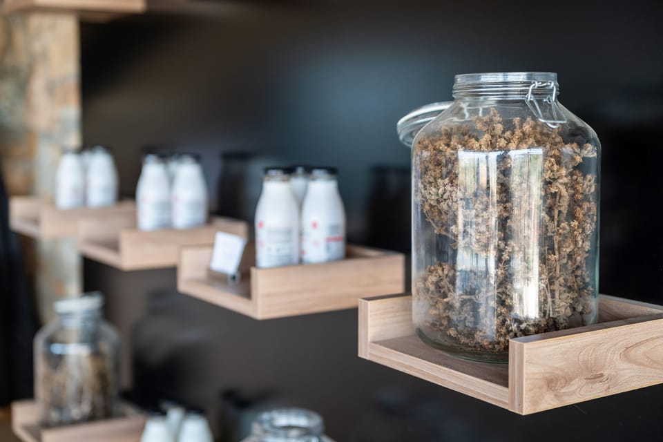 Discover Aloe: A Farm Walk & Workshop - The welcome and the farm shop