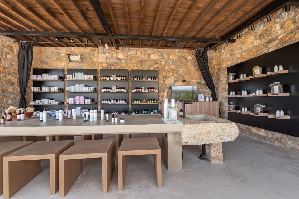 Discover Aloe: A Farm Walk & Workshop - Is $29 a fair price?