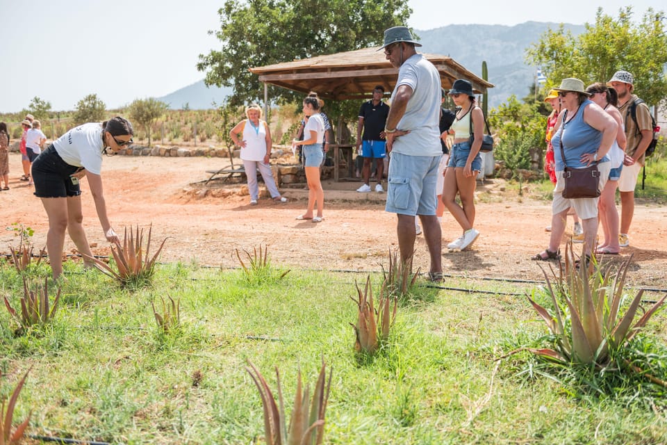 Discover Aloe: A Farm Walk & Workshop - Should you book Discover Aloe?