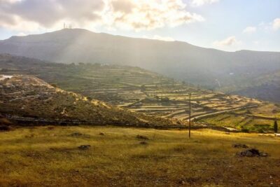 Discover Lefkes: Traditional Greek Village Paros VIP Experience - A bakery stop for local pies