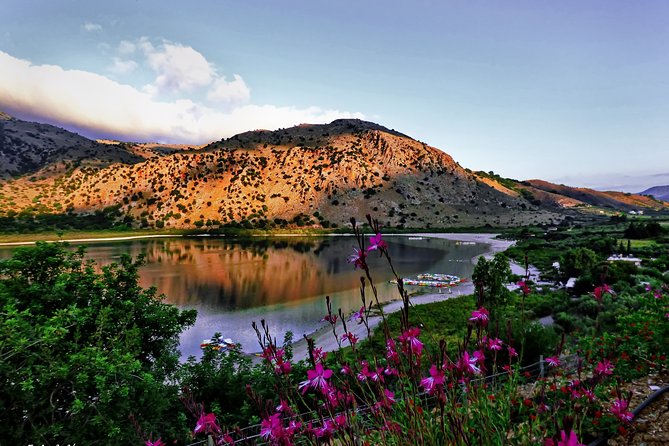 Discover Rethymno, Lake Kournas & the Secrets of Cretan Olive Oil - What the van adds to a six-hour day