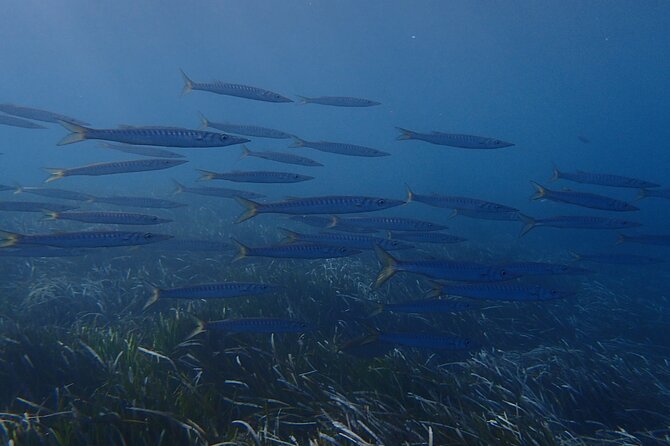 Discover Scuba Diving in Santorini - Getting Fitted With the Right Equipment