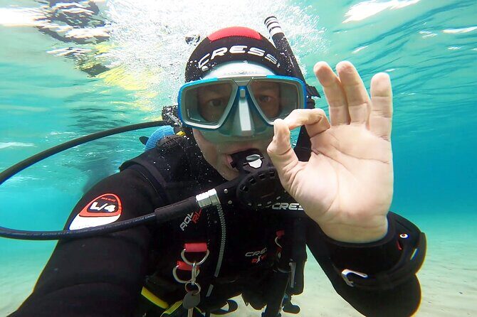 Discover Small Group Scuba Diving Experience in Nea Makri, Athens - Price and Value: Is $108.61 Worth It?