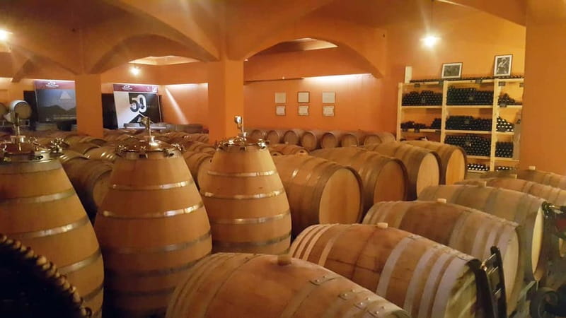 Discover Taste of Crete: Guided Winery Tour and Tastings - The pace, group format, and practical feel