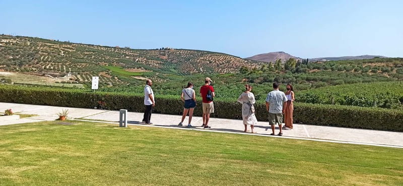 Discover Taste of Crete: Guided Winery Tour and Tastings - Booking advice for a smoother day