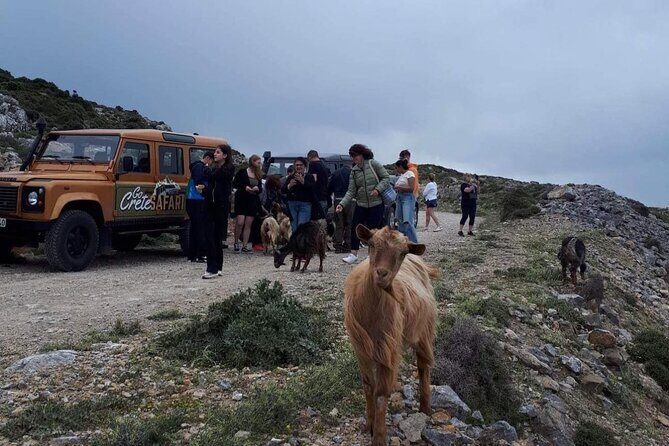Discover The Secrets Of The Southern Crete Jeep Safari tour - Avdou olive mill: what the olive oil stop is really like