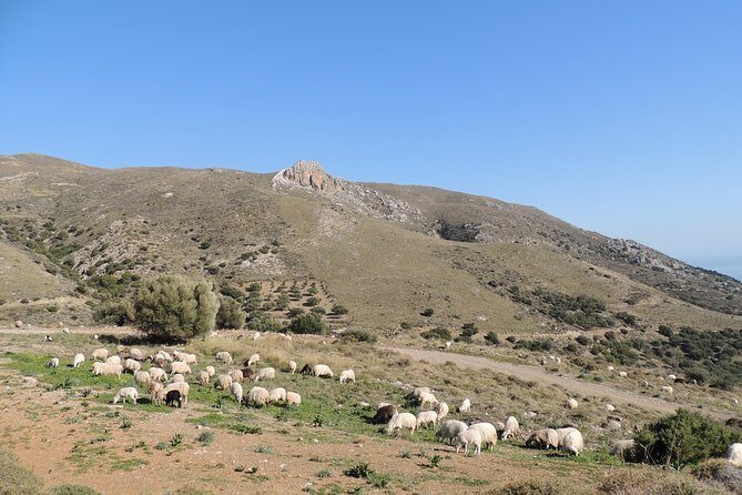 Discover The Secrets Of The Southern Crete Jeep Safari tour - Portela Gorge to Richtra waterfall: the water-level reality check