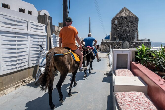 Discovering Santorini : A 3-Hour Private Highlights Tour - Firostefani: a first look across the caldera