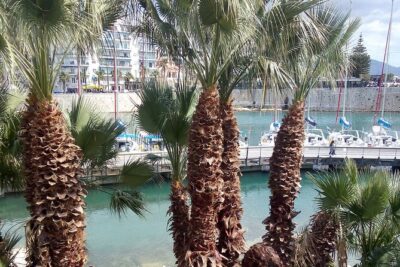 Discovering & Uncovering Piraeus: Hidden Gems and Local Secrets - Walking through Sotiros Dios