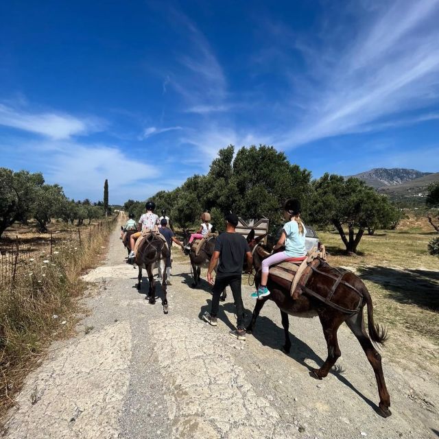 Donkey Riding - Coastline Ride - A slow ride beside the Cretan coast