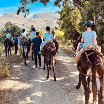 Donkey Riding - Coastline Ride - Meeting the donkeys and handlers