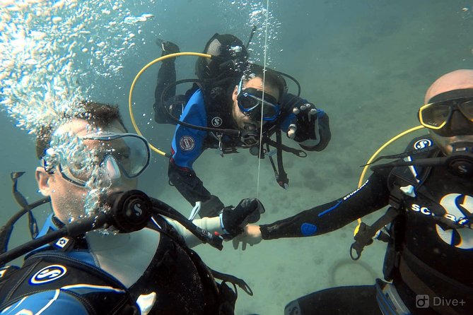 Double Shore Dive (certified divers) - Is $243.10 a fair price?