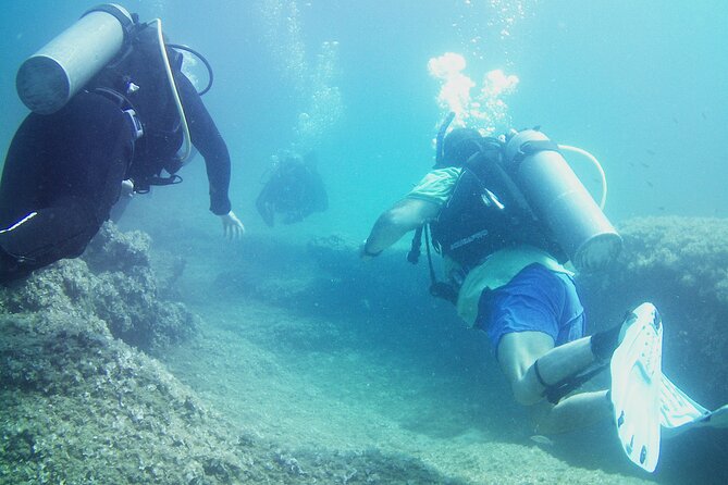 Double Shore Dive (certified divers) - Who should book this outing