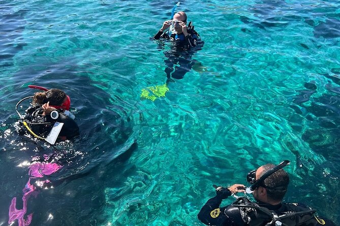 DSD | Discover scuba Diving Experience in Paros - From Eurodivers Paros to the protected water site