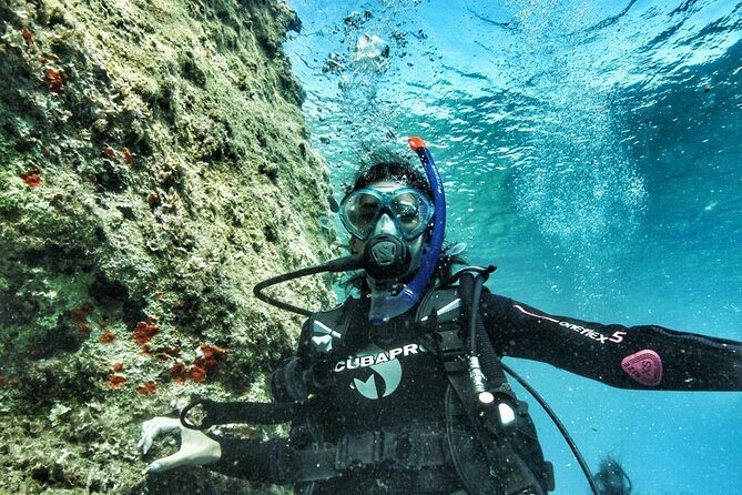 DSD | Discover scuba Diving Experience in Paros - The underwater tour at 4 to 5 meters