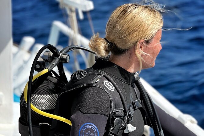 DSD | Discover scuba Diving Experience in Paros - Is $154.88 a fair price?