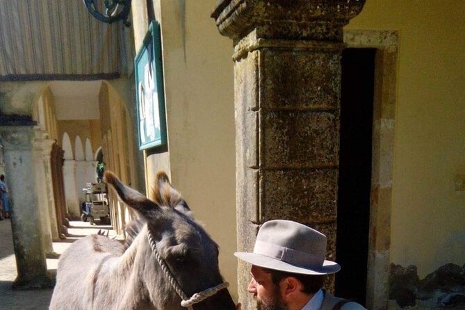Durrells story half day - Mouse Island and the real Gerald Durrell