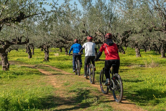 E-Bike Kalamata Olive Routes - Key points at a glance
