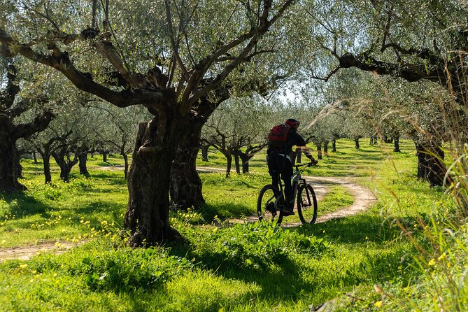 E-Bike Kalamata Olive Routes - What the e-bikes add to the morning