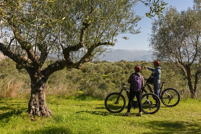 E-Bike Kalamata Olive Routes - The food, culture, and guide make the difference