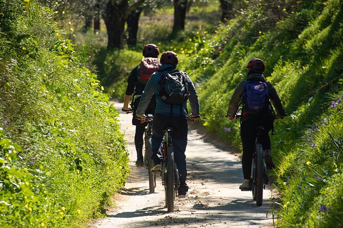 E-Bike Kalamata Olive Routes - Starting at 8:30 a.m. in central Kalamata
