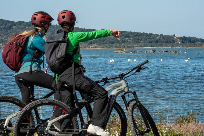 E-Bike Navarino Trail - Why Gialova Lagoon is the heart of the ride