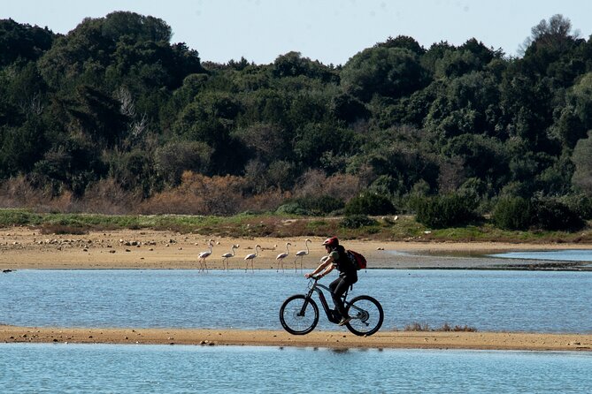 E-Bike Navarino Trail - A family-friendly outing with real scenery