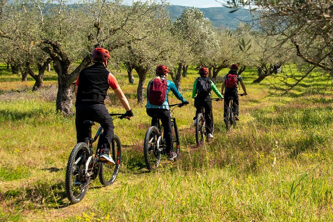 E-Bike Navarino Trail - Weather and cancellation details worth noting