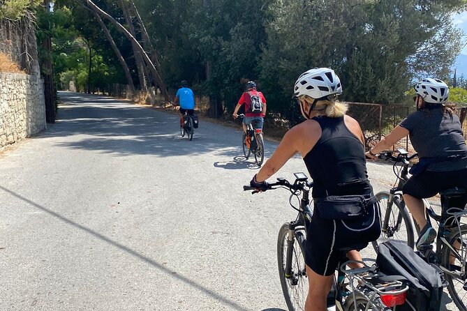 E-Bike Tour with Wine Tasting in Dafnes, Heraklion - Key points to know before you book