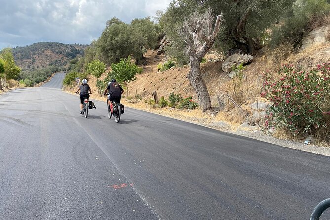 E-Bike Tour with Wine Tasting in Dafnes, Heraklion - Dafnes, Crete’s wine center