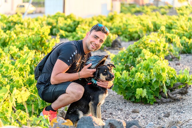 E-Bikes Rental in Santorini - What the three-and-a-half-hour timing means