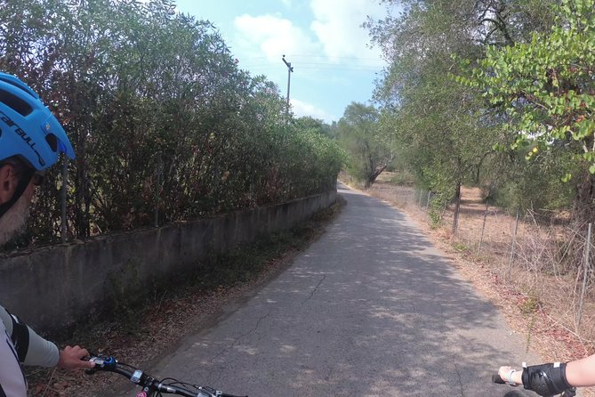 e-MTB Tour - Durrells Farm & Crab Lake [30Km - 18Mi] - Key points to know before you book