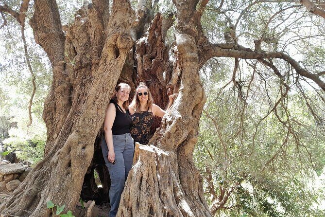 Eat & Crete Food Tour [non-touristy] Chania Villages - Price and value: what you’re really paying for at $216.86