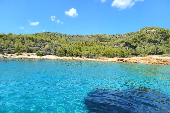 ΖΩΗ Electric Boat Daily Cruises - Who should book this Spetses boat cruise
