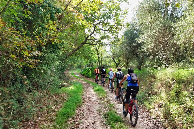 Eleftherna E-Bike and MTB Tour - Experience The Authentic Crete - Key highlights worth your attention