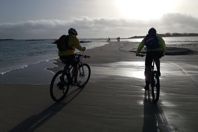 Eleftherna E-Bike and MTB Tour - Experience The Authentic Crete - Break time and a possible taverna stop
