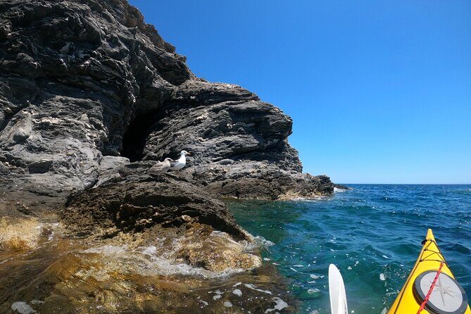 Enchanting Semi Private Kayaking Tours in Milos - Price of $114.02: What You’re Really Buying for a 4-Hour Day