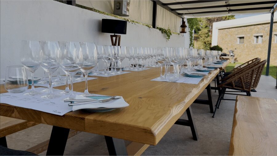 Evening of Wine and Scenic Views in Skiathos - The short winery tour: how grapes become wine