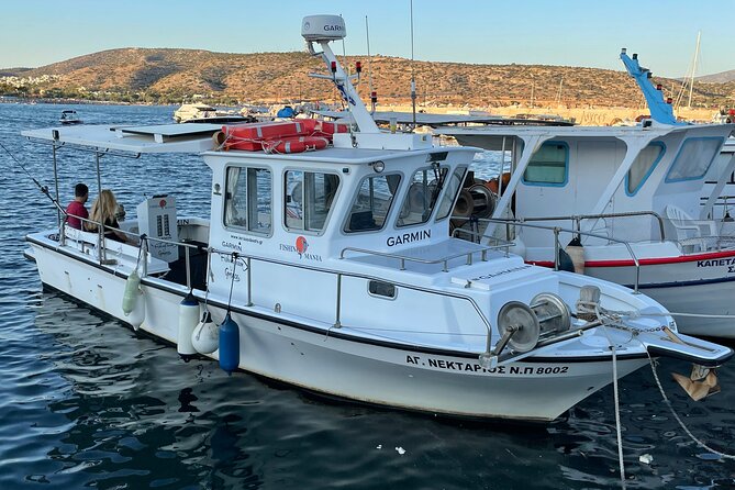 Exciting Fishing Trip in Athens - Six hours on the Aegean, with lunch on the line