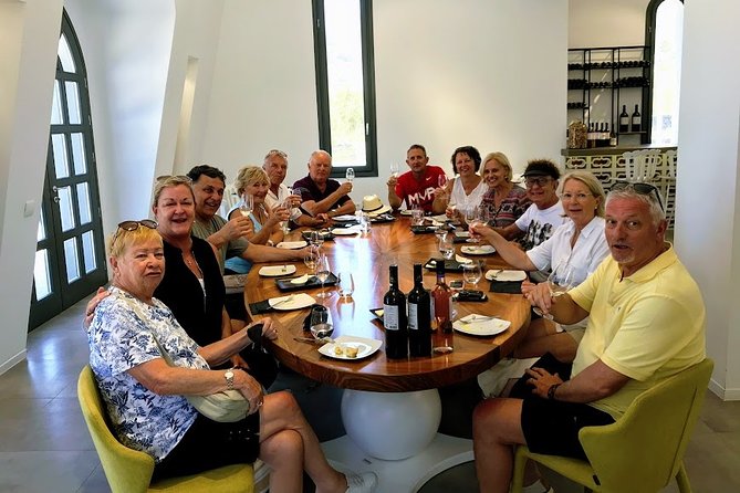 Experience Like a Local Santorini Food and Wine Tasting - Anhydrous Winery brings a second point of view