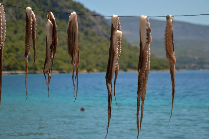Explore Loutraki & Lake Vouliagmeni: Nature and Relaxation - Who should book this half-day tour?