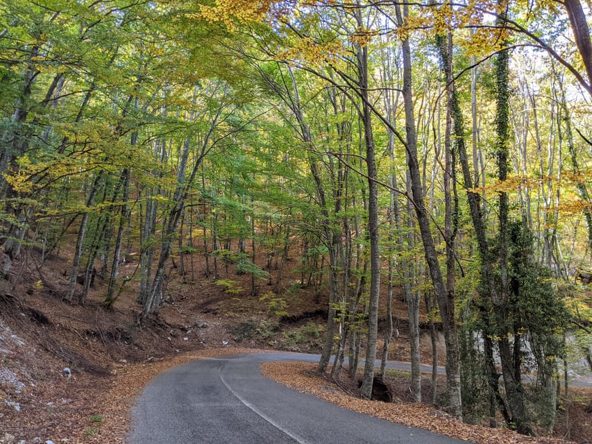Explore Mount Olympus & Dion: History & Nature Day Trip - The weather question